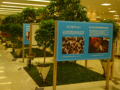 20090317daimaru1.JPG