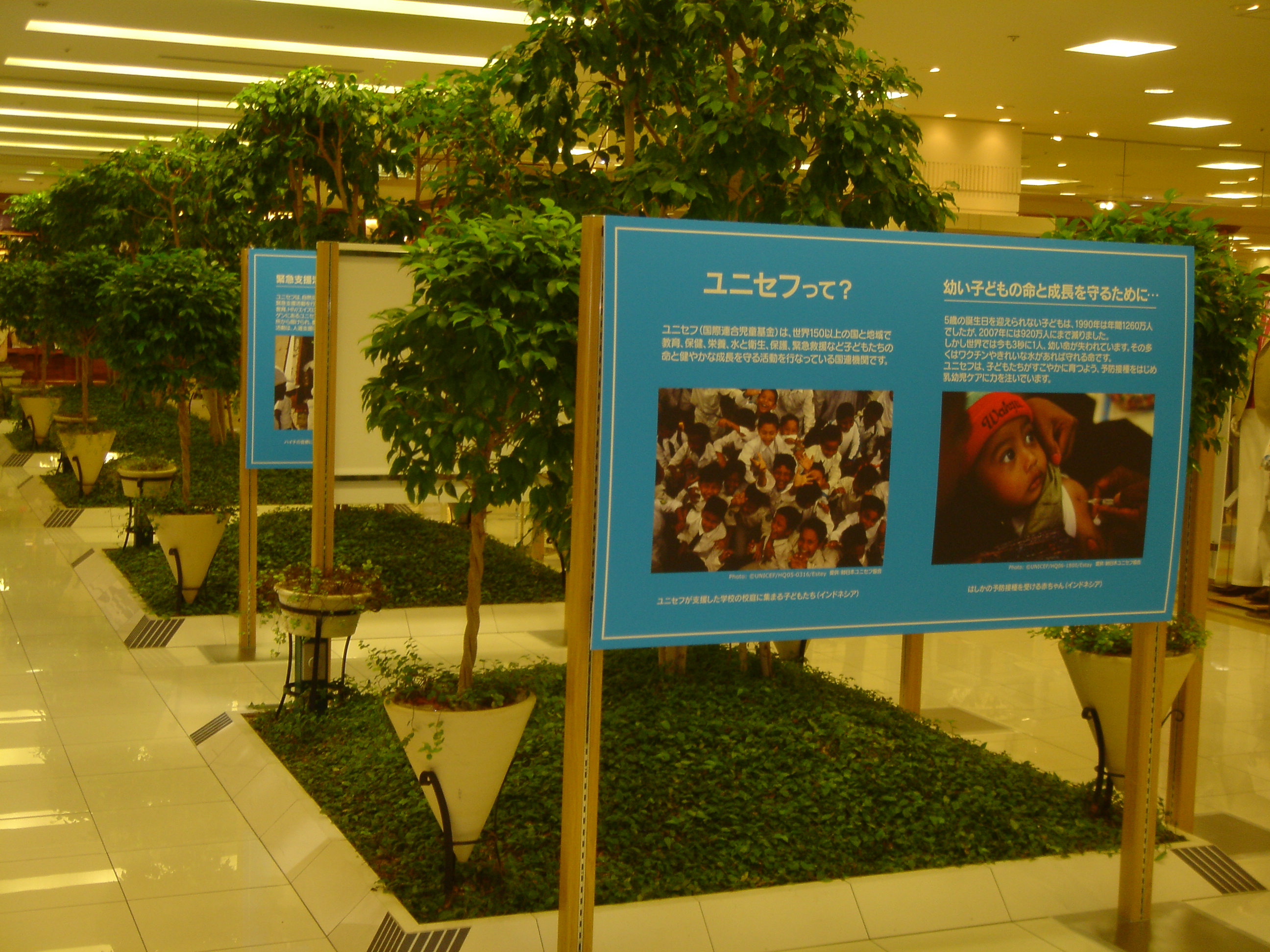 http://www.unicef-hokkaido.jp/img/20090317daimaru1.JPG