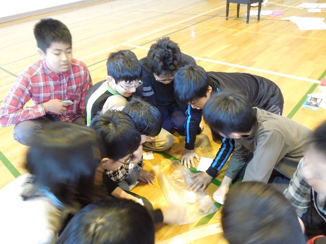 http://www.unicef-hokkaido.jp/img/DSCN1674.jpg